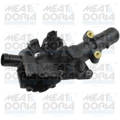 Thermostat, coolant
